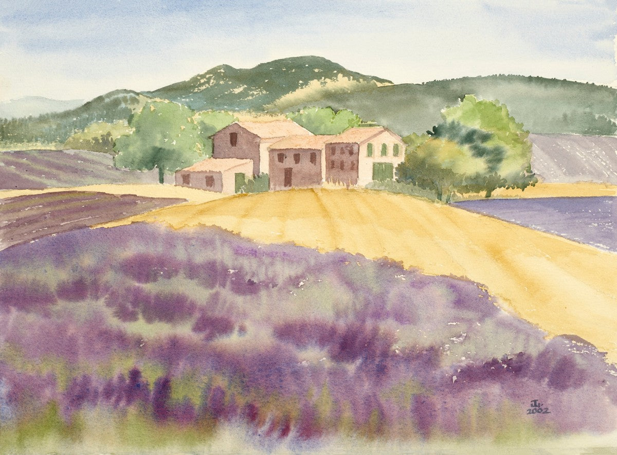 Lavender Farm in Provence Countryside (2002)