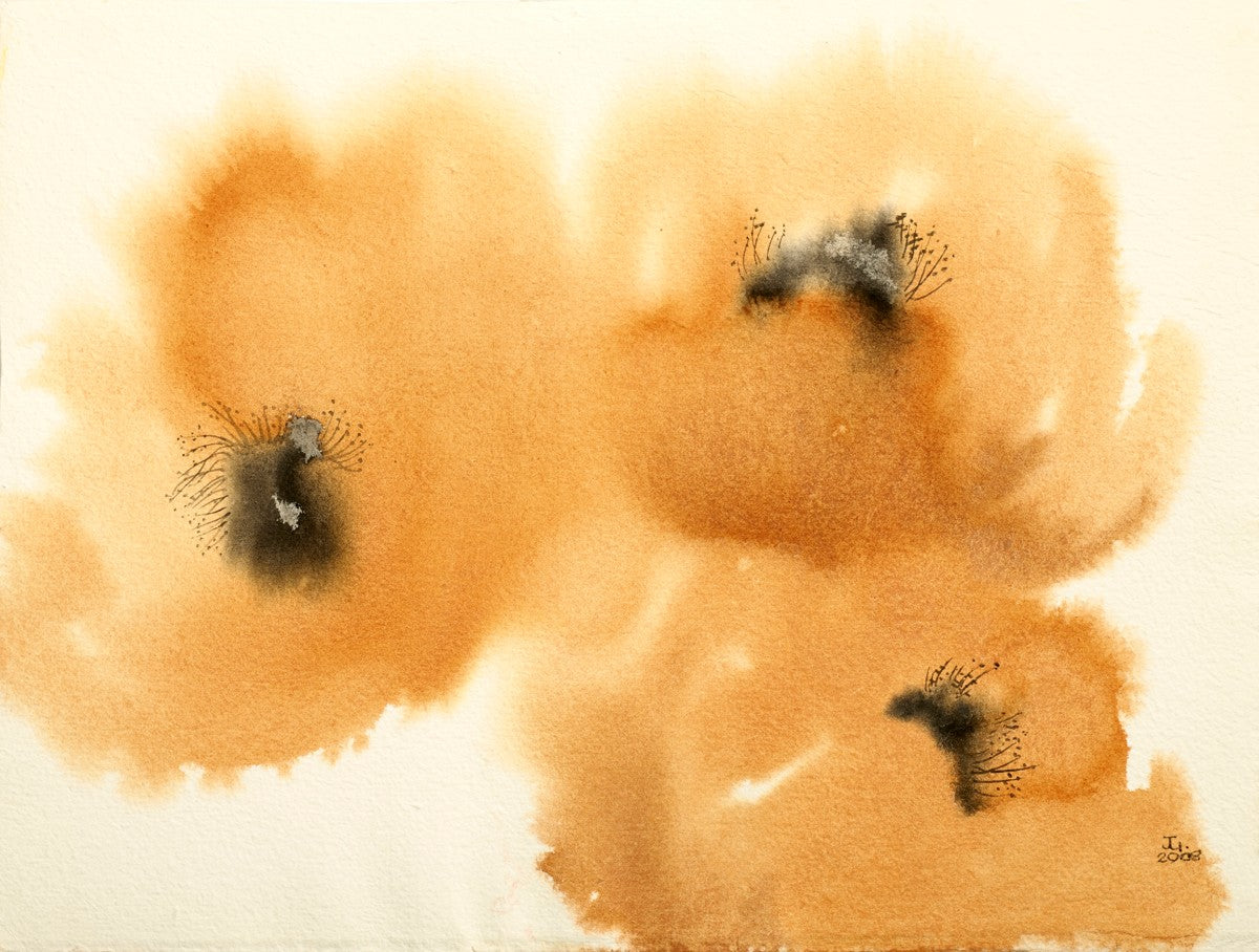 Orange Poppies (2008)