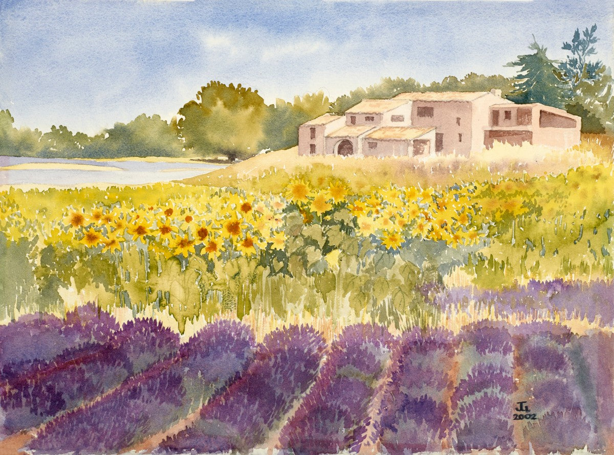 Spectacular Summer Sunflowers (2002)