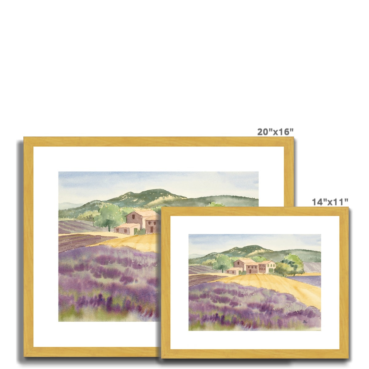 Lavender Farm in Provence Countryside (2002) Antique Framed & Mounted Print