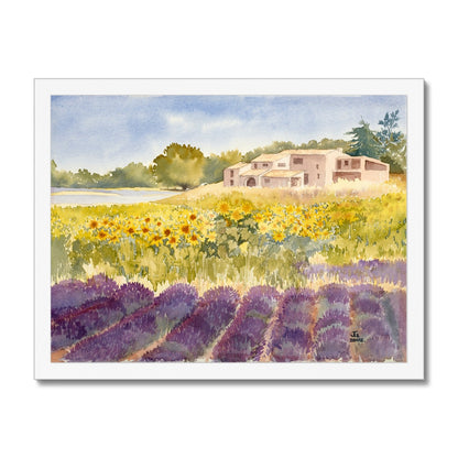 Spectacular Summer Sunflowers (2002) Framed Print