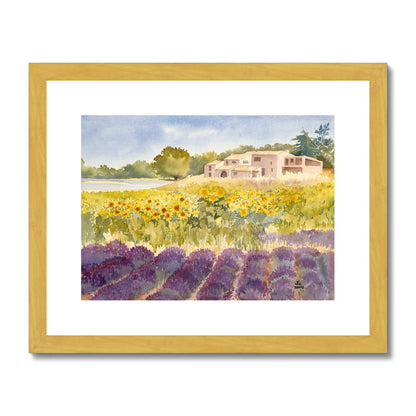 Spectacular Summer Sunflowers (2002) Antique Framed & Mounted Print