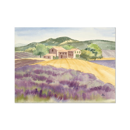 Lavender Farm in Provence Countryside (2002) Rolled Canvas