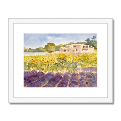 Spectacular Summer Sunflowers (2002) Framed & Mounted Print