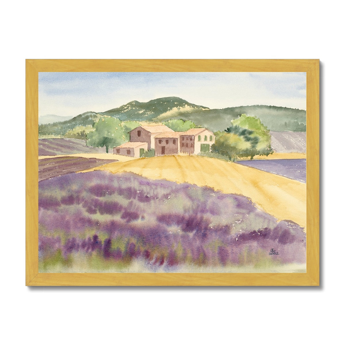 Lavender Farm in Provence Countryside (2002) Antique Framed Print