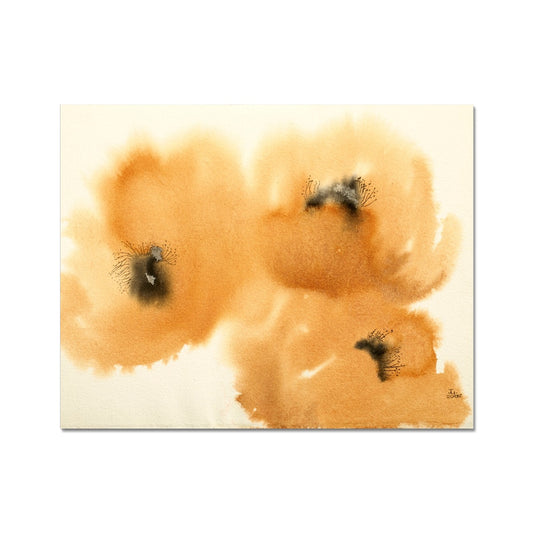 Orange Poppies (2008) Fine Art Print