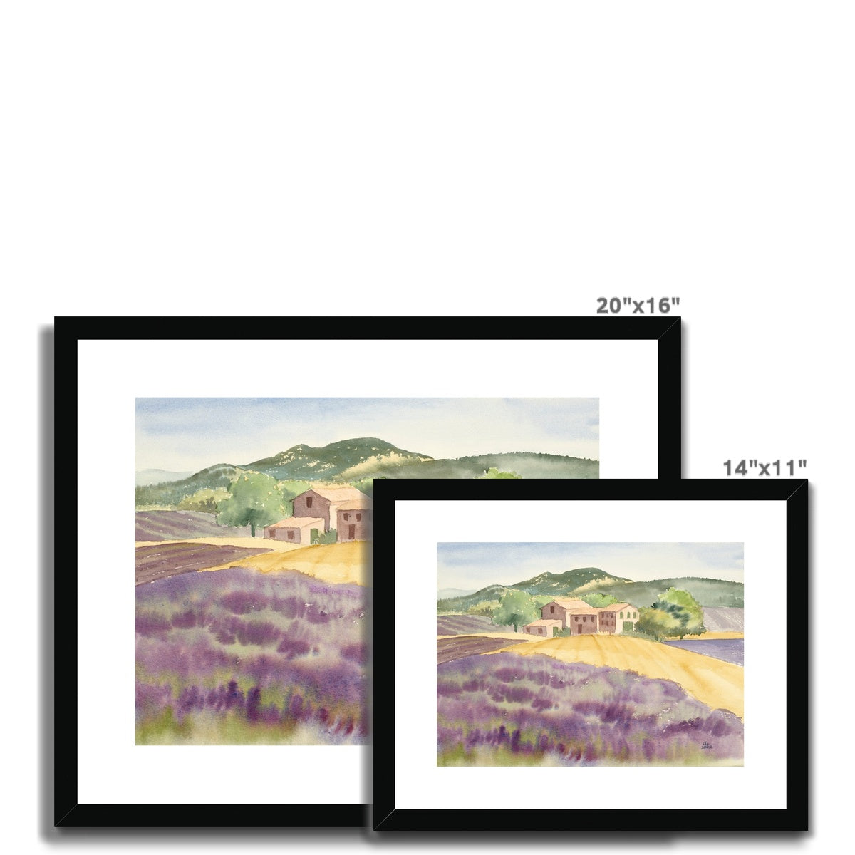 Lavender Farm in Provence Countryside (2002) Framed & Mounted Print