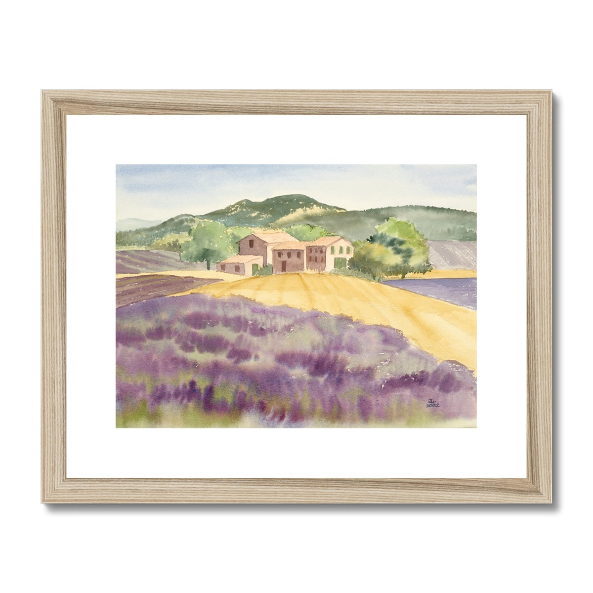 Lavender Farm in Provence Countryside (2002) Framed & Mounted Print