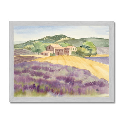 Lavender Farm in Provence Countryside (2002) Antique Framed Print