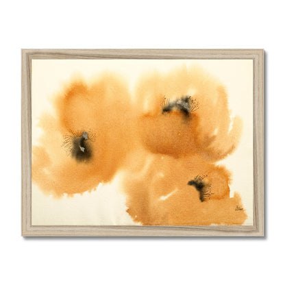 Orange Poppies (2008) Framed Print