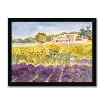 Spectacular Summer Sunflowers (2002) Framed Print