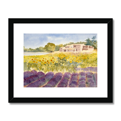 Spectacular Summer Sunflowers (2002) Framed & Mounted Print