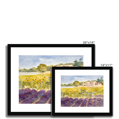 Spectacular Summer Sunflowers (2002) Framed & Mounted Print